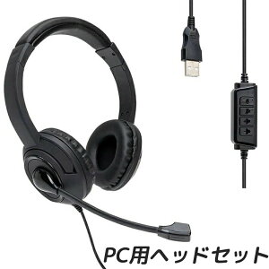 �w�b�h�Z�b�g �X�e���I USB�ڑ� �p�\�R�� PC �w�b�h�z�� �}�C�N�t�� PC�p�w�b�h�Z�b�g Skype WEB��c �e�����[�N �����[�g���[�N �Q�[�� �r�W�l�X �{�C�X�`���b�g �j�����p