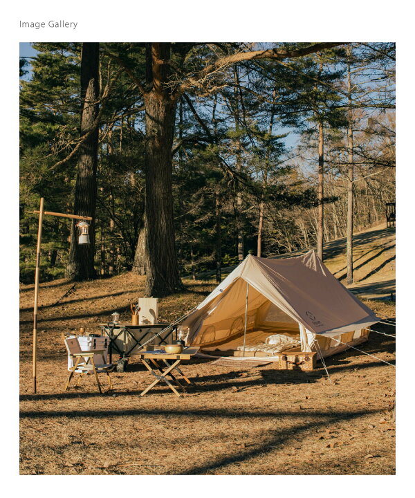 楽天市場】20%OFF&5倍POINT 【S 