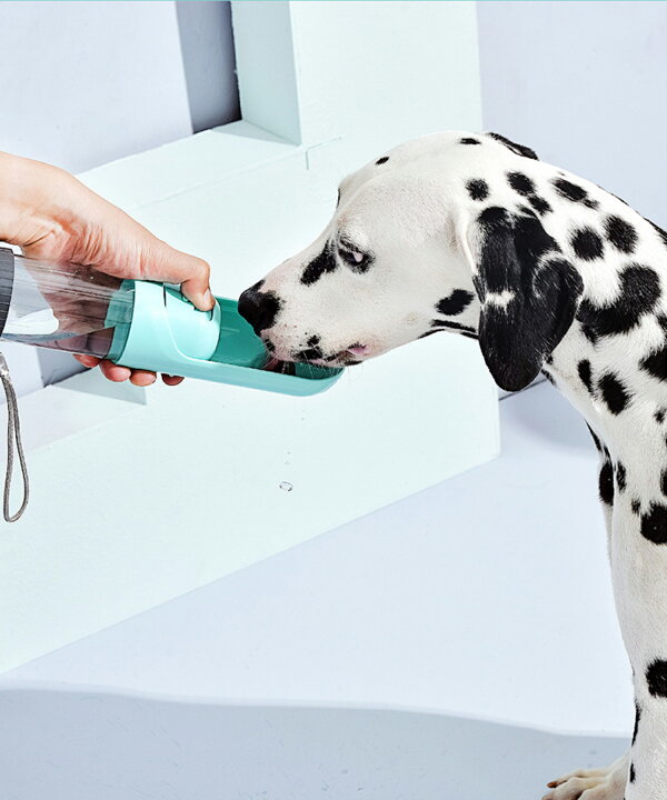 楽天市場 限定 1000円クーポン フィルター付き 犬 水飲み ペットボトル ウォーターボトル 遠出 お出掛け 水入れ 水筒 アウトドア 散歩 散歩用ボトル 携帯 携帯に便利なペット用水飲みボトル Aimoha 楽天市場 限定 1000円クーポン フィルター付き 犬 水飲み ペットボトル ウォーターボトル 遠出 お出掛け 水入れ 水筒 アウトドア 散歩 散歩用ボトル 携帯 携帯に便利なペット用水飲みボトル Aimoha
