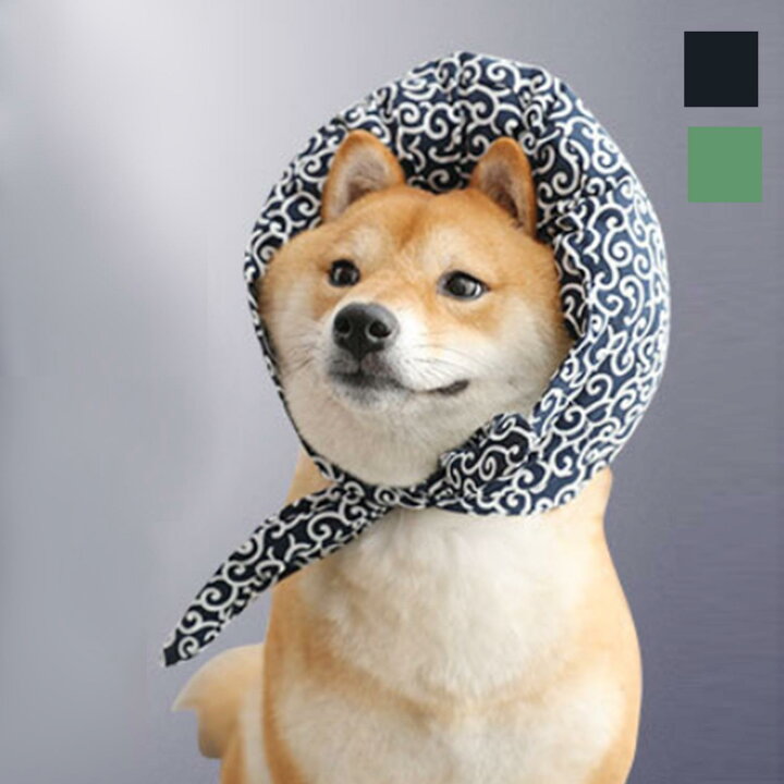 楽天市場 Outlet 特別価格 ペット コスチューム 衣装 首輪 ネックアクセサリー 犬 犬用 可愛い コスプレ Sns映え かわいい キュート ペット用 撮影小物 家出風ペット小物 Aimoha