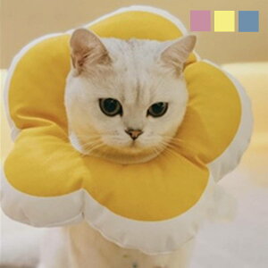 yNAXizlR GUxX J[  L ybg Ԍ` t[ 킢 f ӂӂ _炩|GXe  veN^[ ߑ Ȃߖh~ yƂĂybgpGU