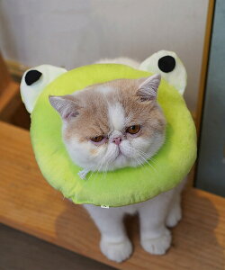 yNAXizlR GUxX J[  L ybg 킢 f ӂӂ _炩|GXe  veN^[ ߑ Ȃߖh~ CI Jj JG  yƂĂ