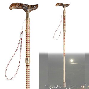 sinano stick [ OhJCmX hi ibU @24000] Vim sEXebL KAINOS DONNA p