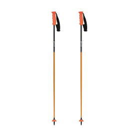 sinano skiing pole [CK-GS @33000]シナノ スキーポール 【送料無料】