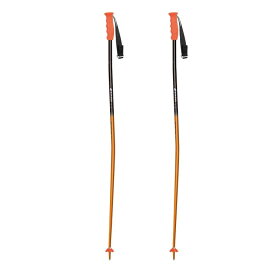 sinano skiing pole [GS-16 @9000]シナノ スキーポール 【送料無料】