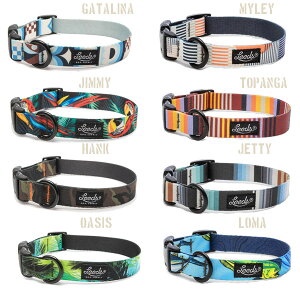 ylR|XEz Leeds Dog Supply [ Dog Collar MTCY @4600] [YhbOTvC p