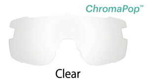SMITH SUNGLASS SPARE Y [ Wildcat Lens NA @10000] Clear Sunglass X~X TOX yK㗝Xiz
