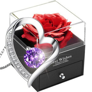 \[vt[v[glCԃoւ̉LalunanWG[ΌԂ̃[Y{bNX̃MtgZbgVo[925lbNXfB[XtVo[925ANZT[