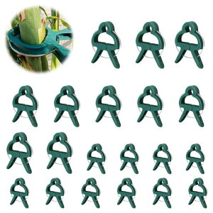 ADOFUN�A���N���b�v�y20����z�O���[���v���X�`�b�N�N���b�v