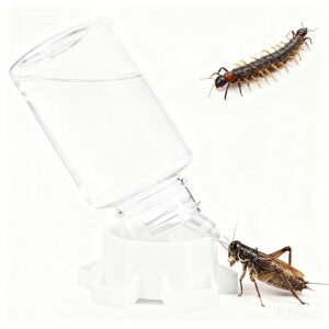 ibaseniceA3d݌v100ml^ybgppx4|[g঒ލRIMNAP[WANZT[