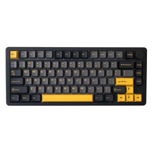 GKGAMAKAYTK75PRO75%A~➑̃L[{[hKTTHyacinthSwitchvO}uKXPbg}Eg81L[2.4GHz/BT5.0/USB-CzbgXbvΉNKRORGBQ[~O