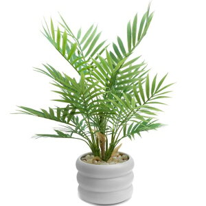 WillingYoutFCNO[lHϗtAMуV40cmtCeAsvȒPMtgVzj̓