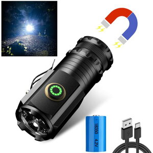 dledy2025NVoꋭŁzEDC^yʃnfBCgPx2500[USB[dtbVCg邳5Ɩ[h~jCgRpA~͏[d2MϋvIPX68hhc