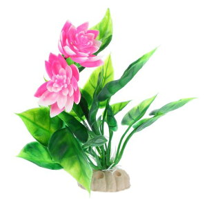 VOCOSTẼANAȆA~jANAEPEZ~bNXAANAEp15cmsN1