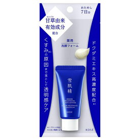 雪肌精 洗顔フォーム【医薬部外品】 薬用雪肌精 ブライトニング クリーム ウォッシュ 20g 和漢植物 ハトムギエキス