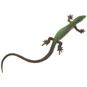 STOBOKgJQtBMAA঒ޖ͌^V~[VgJQfᓮtBMAi