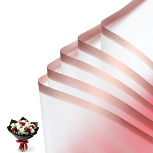 PATIKIL20̖̂ԕhGbW̉ԑt[XgpipbP[WOy[p[DIYNtgEFfBOo[Xf[Mtgbh