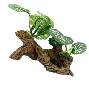 DFsuccesANAEplHI[igANAÊDIY͋CSϋv