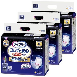 Ct[YɈSpcpAƂpbhp60(20x3)6z(pc^Cvp)yP[Xiz