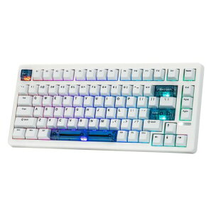 EPOMAKER HE80 �z�[�����ʃQ�[�~���O�L�[�{�[�h 8K�|�[�����O&32K�X�L���� �N���[�~�[�K�X�P�b�g DKS SOCD RGB�o�b�N���C�g �z�b�g�X���b�v�Ή� PC&Mac�p �L���Q�[�~���O�L�[�{�[�h (White)