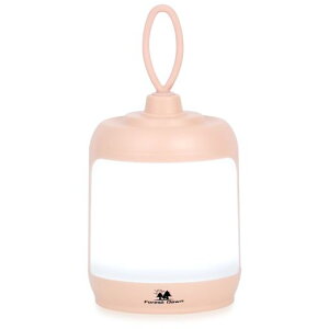 ForestDawn^LEDLv^PxFFdFUSB-C[ddrAEghAhHhdlyʎ^ѕ֗ԒCgd@\oRނhВdً}p