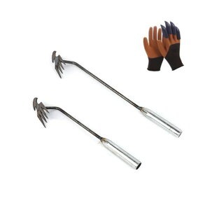 蓹GuVy400mm300mmGƎ1gtzG蓹GނG֗ObYЎL؉LL|p