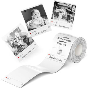 NIIMBOT ���x���V�[�� B1Pro/B2Pro/B21Pro��p ���x���p�� 54*67mm�J���t�� �O���[�X�P�[������Ή� 120������/��