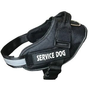 pn[lXSTCYΉh~C[W[EH[N^^֑̎