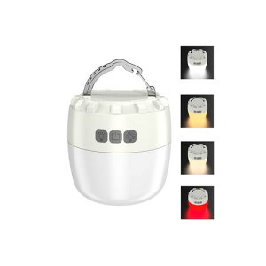 y2025ŐVeʁzLv^^FFdFF4Fؑ֋PxLIPX5h5200mAhiK}Olbg^Type-C[dAEghA\LvLvoRނc