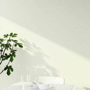 wolpin(�E�H�[�s��)�ǎ��V�[�������C�N�V�[�g�A���~���t�������Ȃ�������͂������C�͗l�ւ�40cmx5m�z���C�gWP-WPZ001E�y�h��/�h�J�r/�ϔM/���r���O/�L�b�`��/DIY�z