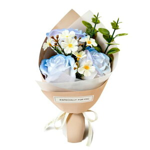 HANASPEAK\[vt[Ԏ񂰎Ԍ͂ȂԌhV̓̓t[MtgaLO(StarLight)