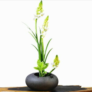 Ԋ퐅KuFuccj1Ԋ퓩Z~bNԗpԕrt[x[Xؓt[AWgԂԗp̂͂ȊؓԕrZ~bNXېՑȉ~^ԗp͂Ȃԓc