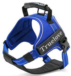 cocomall2WAYAɗDn[lXSypn[lXTRUELOVE{XpփhbOybgpi3MˍޗPoiCfޏ^A^A^ɌʋC߉\(XSc