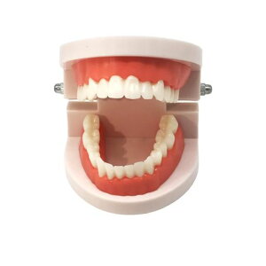 Itisyou���͌^���̖͌^�l�̖͌^�������᎕�`�͌^����͌^�㉺�{�͌^�J���w�K�p���^���f��