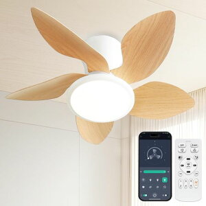 V[Ot@CgVƖ5H55W4500lm8~10KiF//g6Kiʒt]^C}[@\[@\É铔[hX}[gR/|fCc