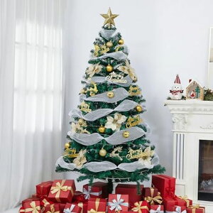 150cmNX}Xc[ZbgchristmastreeZx}450{10mLED胉Cg/7m{tgȒP[֗NX}XZbgؖk/OXNX}XObY{t