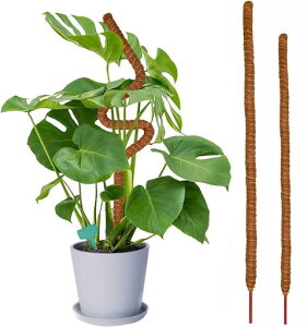 Rzilmer2{Zbg|xAxϗtx鐫AϗtAT|[gUxRRibcx_Ɨp|p