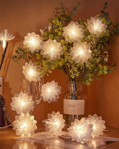 UnikatotFA[Cgt@Co[CgLEDXgOCgdrgԓdNX}XaVNՂ胉Cg͋C(g3m20d)