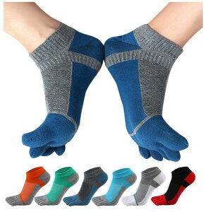 [WIOIW]5{w\bNXYX|[cܖ{wjO\bNXI[V[Y5{wC6Zbg