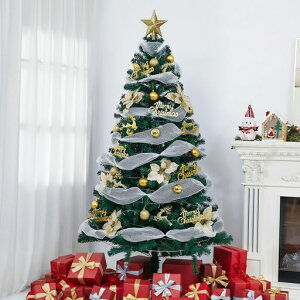150cmNX}Xc[ZbgchristmastreeZx}450{10mLED胉Cg/7m{tgȒP[֗NX}XZbgؖk/OXNX}XObY{t