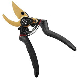 ΂݉|p͂ݙ͂2iK߉\