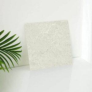 tAV[g嗝΃^Cuz20Zbg1gCCNV[gNbV}bg֗юhtOV[gdiy(嗝Ε:91CgO[)