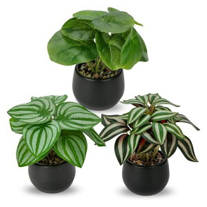 VillaComoCeAO[tFCNO[lHϗtAtFCN㔫Aԃe[ufR[VGAvc킢Mtg픫3_Zbg(|gX#2)