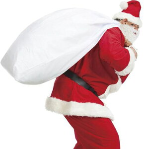 [Synlala]T^̑傫ȑ܃T^N[X̑ܔ傫܃NX}Xv[g̑ܖȍnqɍœKȑ傫70cmx90cm