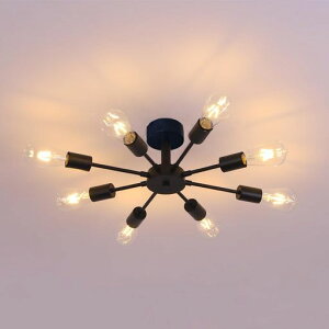 Herischeny_gCg8kAeB[NgX^CVƖƖ|HsvrOLb`ԐHLEDΉ68E26̓d(ʔ)