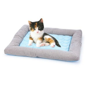 Dopetybg}bgybgxbhėp~pybg\t@[}bgpxbh}bgybgpLpxbhACXVNn_炩đ΍~΍ďHp΍NbV^^Lc