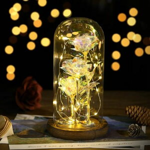 ԃKXh[LewondrKN3֌͂Ȃԃo^Cv[gbL[YLEDCgtCeAzo/̓/LO/a/w//j//c