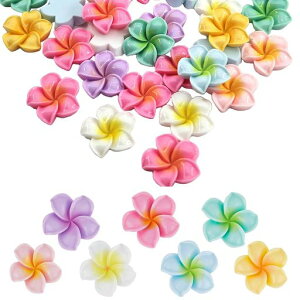 AquafixvA7F70Zbg܎ZԃlCp[cnCrXJXSyr[Yy_gԃCOԂтlbNXNCp[cnCA|}[u₩aLbgDIYc