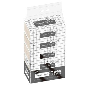 ەxԑy[p[^In[h2005pbN