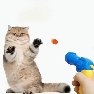 L{[XgX^slVєLp(30)